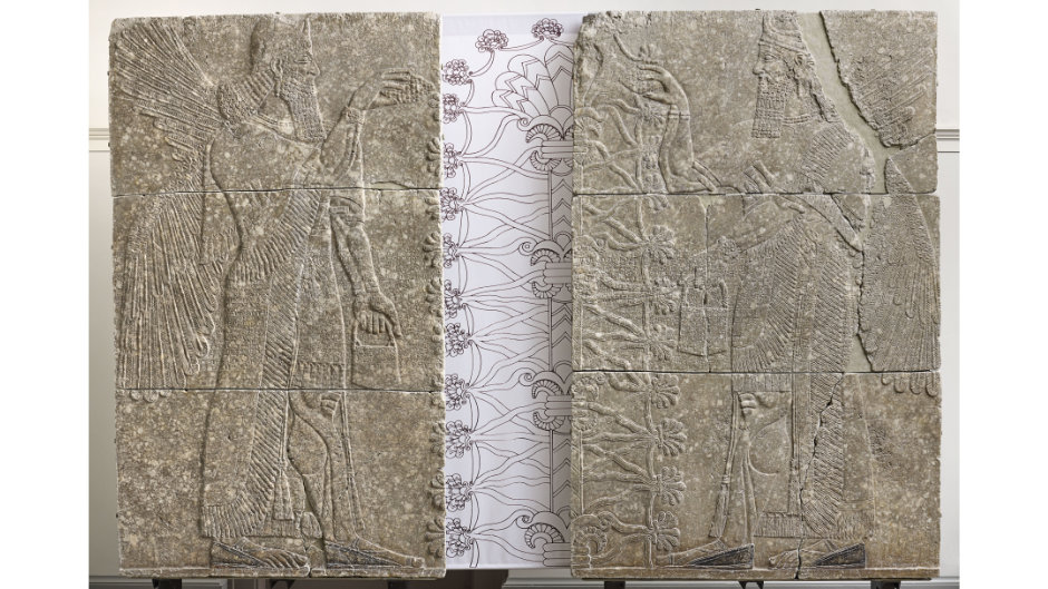 HEILIGE BAUMPFLEGE [Assyrische Reliefplatten aus dem Palast des Assurnasirpal II. (Inv. 1910 und Inv. 1911), 883 – 859 v. Chr., aus Nimrud] Die assyrischen Reliefplatten aus dem Nordwestpalast Aussurnasirpals II. in Nimrud (Irak) befinden sich heute in 21 verschiedenen Ländern und sind auf 84 namhafte Museen verteilt: Vom British Museum in London, dem Louvre in Paris, dem Metropolitan Museum of Art in New York, bis hin zum State Hermitage Museum in St. Petersburg... und nicht zuletzt auch in der Archäologischen Sammlung der Universität Zürich! Die Entdeckung des Palastes in Nimrud während der Ausgrabungen des britischen Diplomaten Austen Henry Layard 1845 und die Verschiffung der grossartigen Fundobjekte weckten rund um die Welt Bewunderung für die assyrische Hochkultur und namhafte Museen rissen sich darum, möglichst viele Objekte für ihren Bestand zu ergattern. 1863–1864 führte der Schweizer Kaufmann Julius Weber seine eigenen Ausgrabungen in Nimrud durch und sendete Reliefplatten für die Antiquarische Gesellschaft in Zürich – vier davon aus dem Nordwestpalast Aussurnasirpals II. Die Zürcher Platten stammen ursprünglich aus dem sog. Raum L des Norwestpalastes – einem der bedeutendsten Räume im rituellen 'Hochsicherheitstrakt' der Anlage. Wohl aus diesem Grund sind die Inventarnummer 1910 und 1911 Vertreter der detailliertesten Reliefdarstellungen aus dem Palast, die zudem einst farbig waren – wie an den Sandalen der Figuren heute noch erkennbar ist! Dargestellt sind zwei sich gegenüberstehende geflügelte Schutzgötter – verwandt mit den sog. Apkallus, jedoch von etwas höherem Status – die mit einem Koniferenzapfen den 'heiligen Baum' mit reinigendem Wasser aus einem kleinen Eimer besprenkeln. In der Mitte des Reliefs verläuft in kuneiformer Schrift die sog. 'Standard-Inschrift', welche die Titulatur, die Kriegskampagnen und einen Baubericht über die Stadt Nimrud des Königs nennt. Die assyrischen Platten, die in der Zeit der Herrschaft Assurnasirpals II. 883 – 859 v. Chr. hergestellt wurden, bilden eines der wertvollsten Highlights der Archäologischen Sammlung.